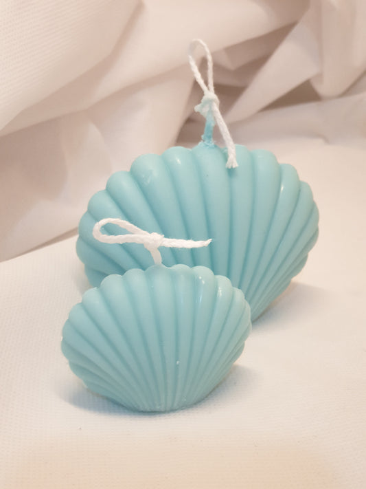 Set of 2 Clam shells